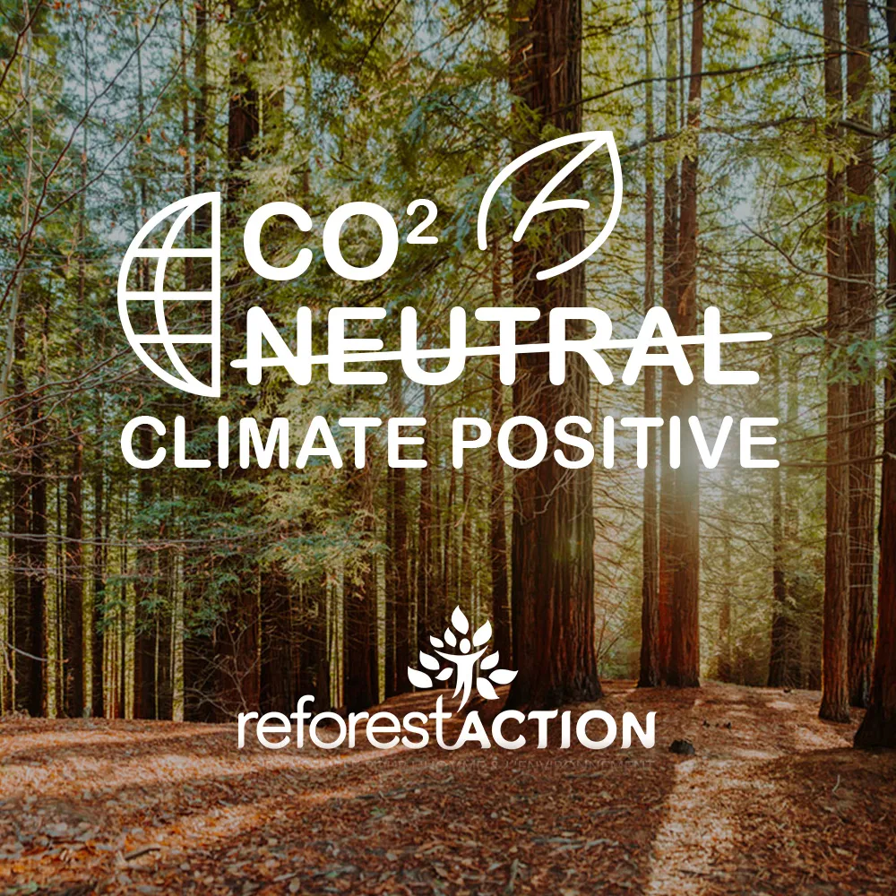CO2 neutral — Proyecto 1+1